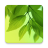 icon Leaf 1.1.4