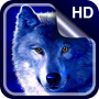 icon Wolf Live Wallpaper HD