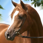 icon Horse Jump Run Simulator:Show