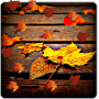 icon Autumn Leaves Live