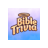 icon Bible Trivia Game 360