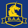 icon B.A.A. Racing