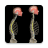 icon Kyphosis 1.4.7