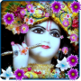 icon Lord Krishna Live Wallpaper