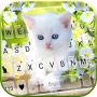 icon White Cute Kitty