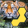 icon Jigsaw hexa puzzle