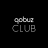 icon Qobuz Club 3.0.0