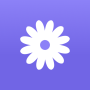 icon daisies