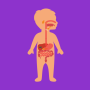 icon Learning body parts for kids o