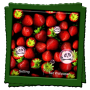 icon Strawberry Live Wallpaper