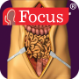 icon com.focusmedica.dict.gastroenterology