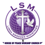 icon LSM