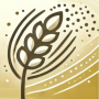 icon Pollen: Info & Forecast