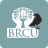 icon Black Raven CU 2.1.1.17092024