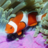 icon Underwater Jigsaw Puzzles 2.14.00