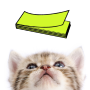 icon Cat Sticky Note Notepad