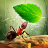 icon Little Ant Colony 3.4.4