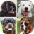 icon Dogs Quiz 3.5.0