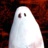 icon Paranormal 2.12