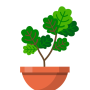 icon Terrarium