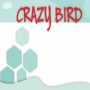 icon crazy Bird