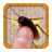 icon Cockroach Smasher 2.17