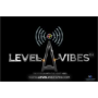 icon Level Vibes Fm