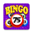 icon Bingo Craze 3.9.0.3