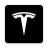 icon Inside Tesla 2021.11.2