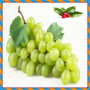 icon Green Fruits Onet Connect Game