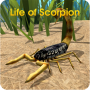 icon Life of Scorpion