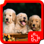 icon Dogs Puzzles