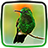 icon Hummingbird Live Wallpaper 1.2
