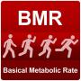 icon BMR-