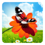 icon Spring Butterflies Live Wallpaper