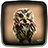 icon Owl Live Wallpaper 1.2