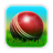 icon Cricket 3D 1.6.1