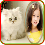 icon photo frames cat pic frames