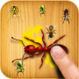 icon Ant Smasher Game