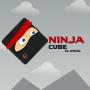 icon Ninja Cube Fly