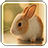 icon Bunny Live Wallpaper 1.6