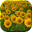 icon Flowers Live Wallpaper 2.2