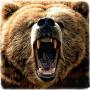 icon Jungle Bear Run 3D