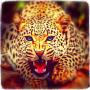 icon Jungle Cheetah Run 3D