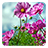icon Sweet Flowers Live Wallpaper 3.1
