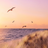 icon Peaceful Wallpapers 1.0