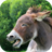 icon Donkey Sounds 1.0