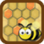 icon -Honey Tap-