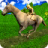 icon Subway Horse Run 1.0