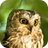 icon Owl Sounds 2.0